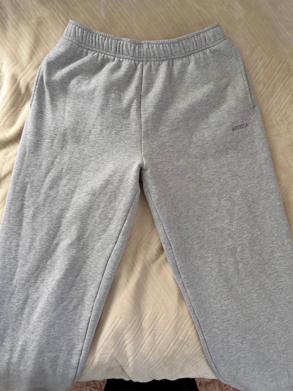 Aritzia Light Grey Sweat Fleece Joggers